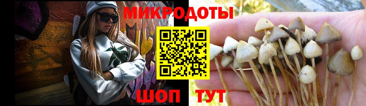 Галлюциногенные грибы Psilocybine cubensis Новоалександровск